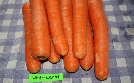 Lensink Aardappelen Aalten